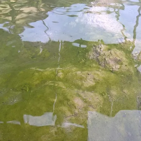 호텔 Terme Belvedere 아바노테르메